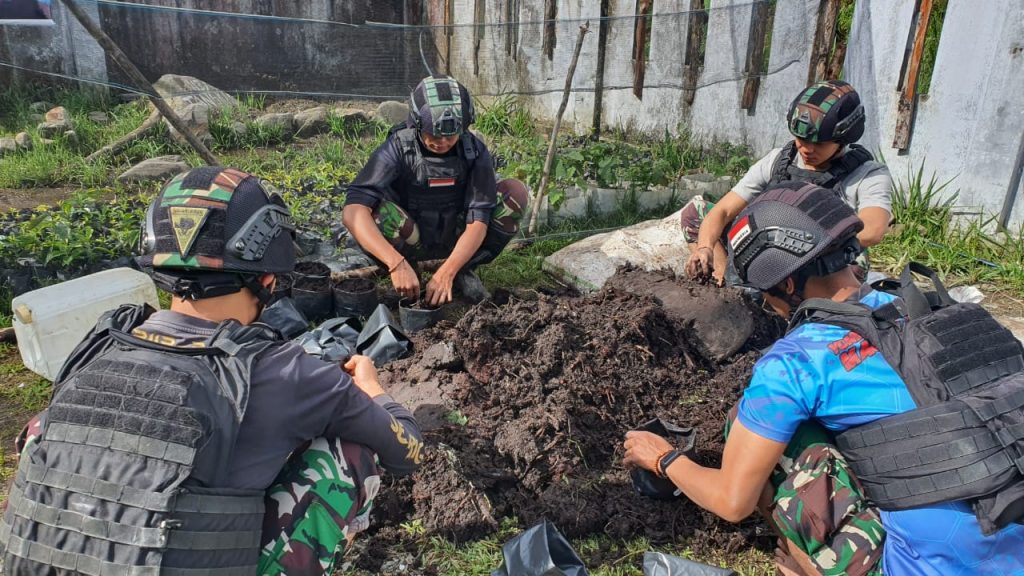 Satgas Yonif RK 115/ML Siapkan Bantuan 5.400 Bibit Kopi Yang Siap Tanam untuk Masyarakat Papua
