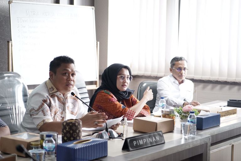 Wakil Ketua DPRD Sulsel Pimpin RDP dengan HNSI