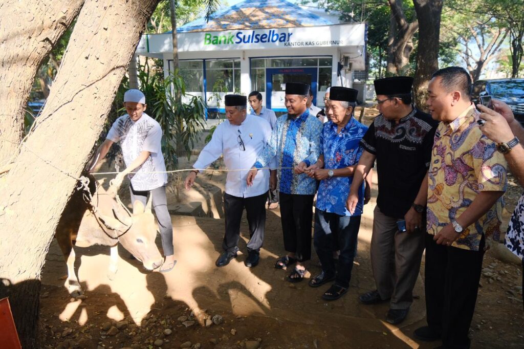 Idul Adha 1446 H, Pemprov Sulsel Kurban 26 Ekor Sapi
