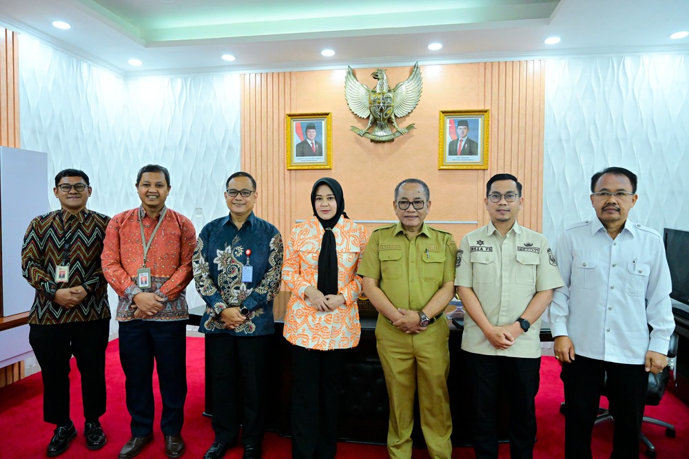 Terima Audiensi Kepala OJK, Wakil Gubernur Sulsel Sampaikan Ini