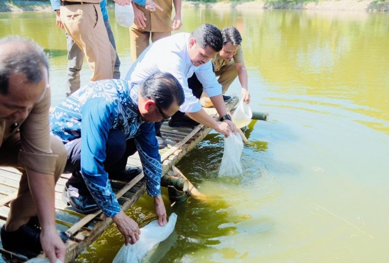Bupati Bantaeng Lepas 25.000 Benih Ikan Bandeng