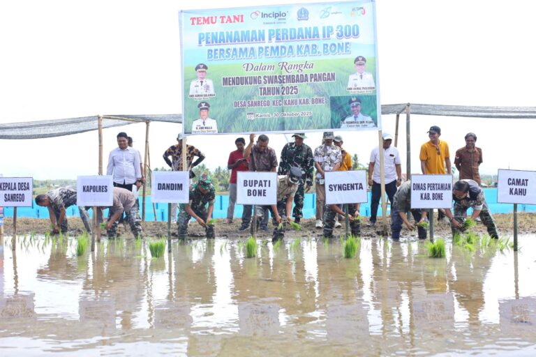 Bupati Bone Laksanakan Tanam Perdana IP300 di Kecamatan Kahu