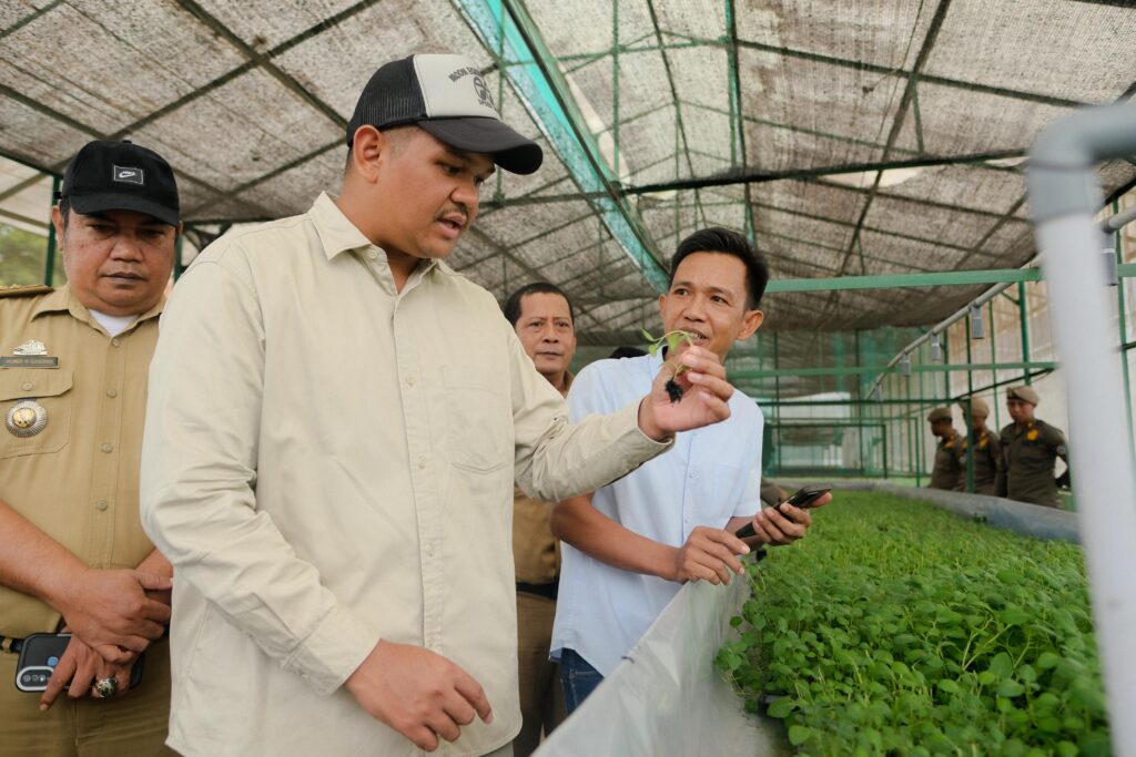 Bupati Bantaeng Tinjau Proses Kultur Jaringan Benih Kentang