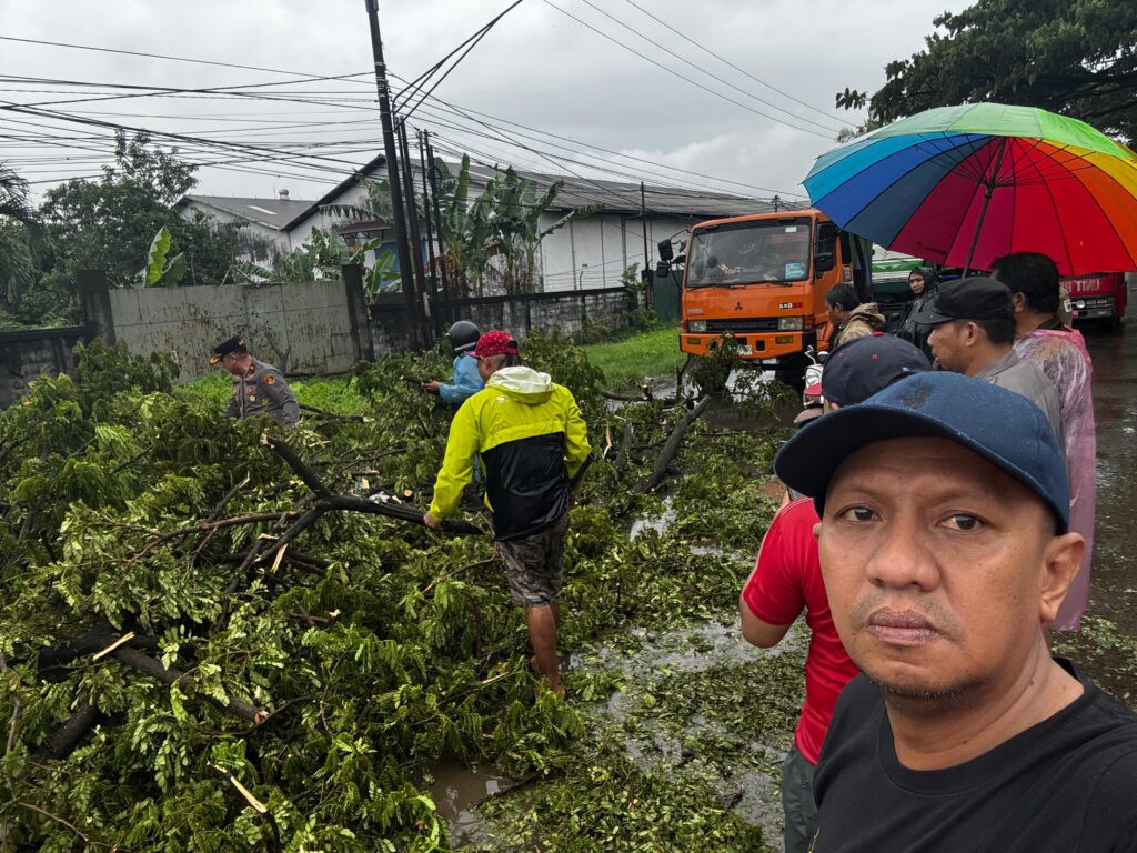 Camat Tamalanrea Bersama BPBD Kota Makassar Evakuasi Pohon Tumbang