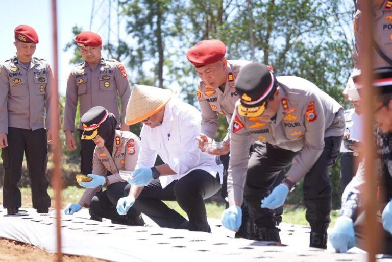 Bupati Bantaeng Bersama Unsur Forkopimda Dampingi Kapolda Ikuti Penanaman Bawang Putih Serentak