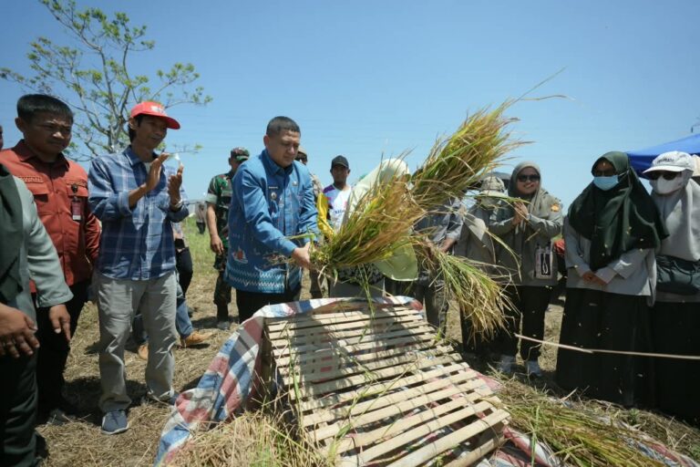 Pemkot Makassar Salurkan 2.000 Liter Pupuk dan Ribuan Kilogram Benih untuk Kelompok Tani Makassar